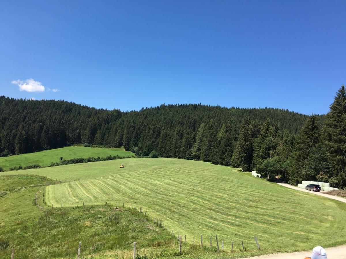 Lindbichlhof Urlaub Am Bio Bauernhof Apartment Sankt Johann im Pongau Exterior foto