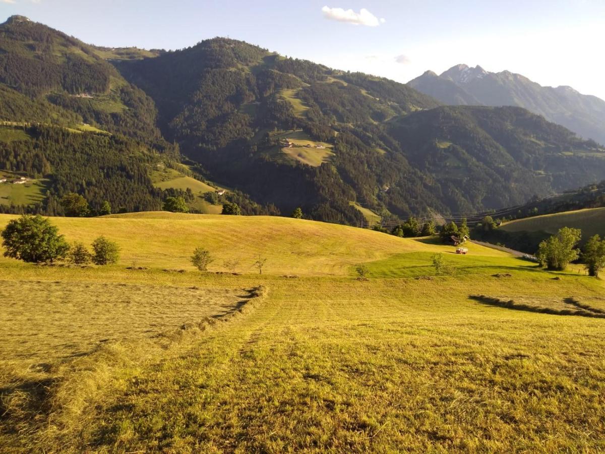 Lindbichlhof Urlaub Am Bio Bauernhof Apartment Sankt Johann im Pongau Exterior foto