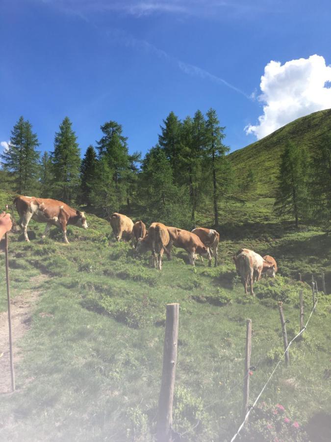 Lindbichlhof Urlaub Am Bio Bauernhof Apartment Sankt Johann im Pongau Exterior foto
