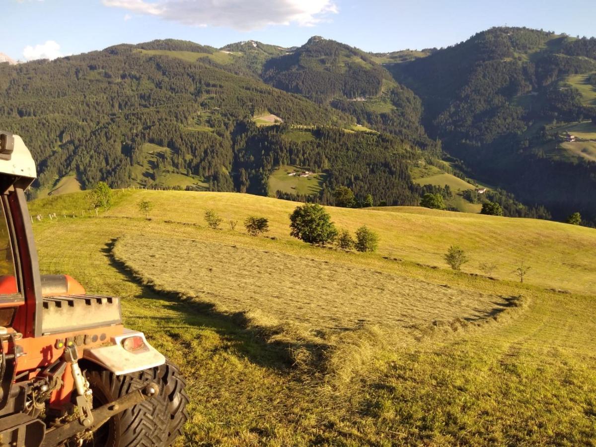 Lindbichlhof Urlaub Am Bio Bauernhof Apartment Sankt Johann im Pongau Exterior foto