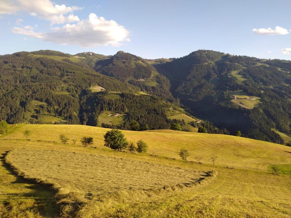 Lindbichlhof Urlaub Am Bio Bauernhof Apartment Sankt Johann im Pongau Exterior foto
