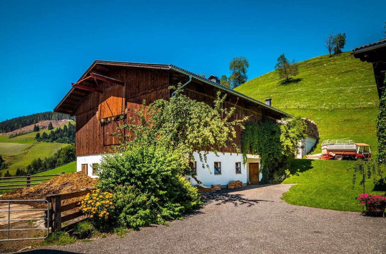 Lindbichlhof Urlaub Am Bio Bauernhof Apartment Sankt Johann im Pongau Exterior foto