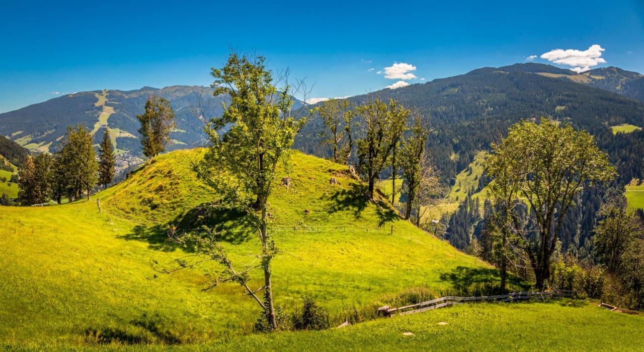 Lindbichlhof Urlaub Am Bio Bauernhof Apartment Sankt Johann im Pongau Exterior foto