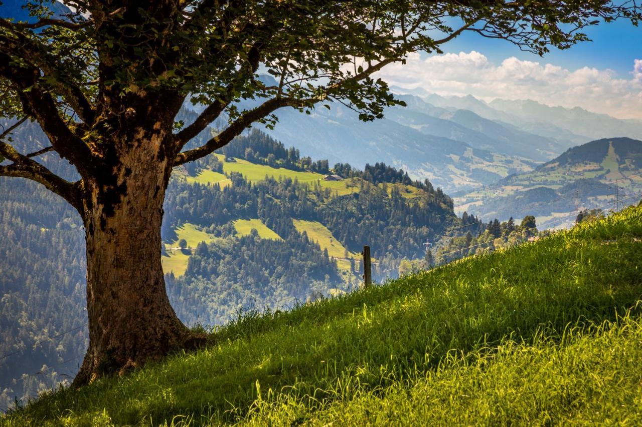 Lindbichlhof Urlaub Am Bio Bauernhof Apartment Sankt Johann im Pongau Exterior foto